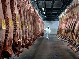 La Asociación Rural del Uruguay presentó un informe técnico al gobierno que da cuenta de la concentración del mercado frigorífico. La Asociación Rural del Uruguay presentó un informe técnico al gobierno que da cuenta de la concentración del mercado frigorífico.