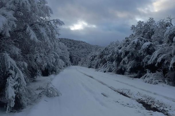 Aconsejan circular con precaución por fuertes nevadas en el Parque Nacional Nahuel Huapi