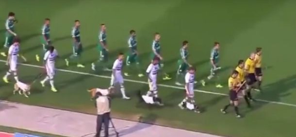 El increíble partido de los perros de San Pablo contra Palmeiras