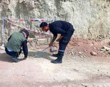 Encuentran restos de un gliptodonte de 10 mil años en San Lorenzo