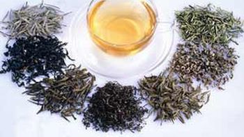 Truco casero: la manera de conservar las hierbas y evitar que se pudran Truco casero: la manera de conservar las hierbas y evitar que se pudran