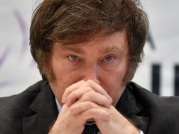 Desconfianza en Javier Milei. Desconfianza en Javier Milei.