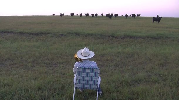 Un granjero logra armonía con sus vacas: toca el trombón para llamarlas