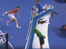 este joven perdio con djokovic, pero dejo una jugada para el recuerdo este joven perdio con djokovic, pero dejo una jugada para el recuerdo