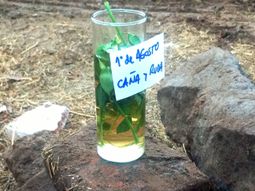 ¿Por qué hay que tomar caña con ruda?