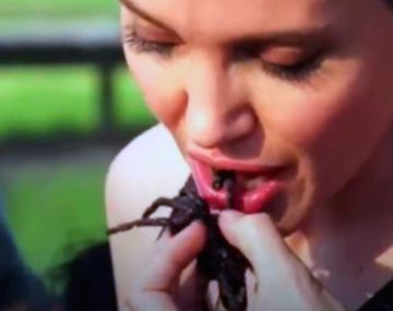 Angelina Jolie, comiendo arañas