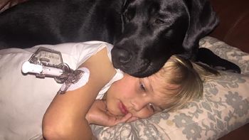 jedi, el perro que salvo a un nene de 7 anos con diabetes jedi, el perro que salvo a un nene de 7 anos con diabetes