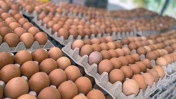 Truco casero: esta es la mejor manera de batir los huevos Truco casero: esta es la mejor manera de batir los huevos