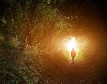 Vida después de la muerte