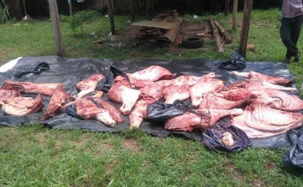 Denuncia contra la comisaría de Pueblo Libertador por robo de ganado