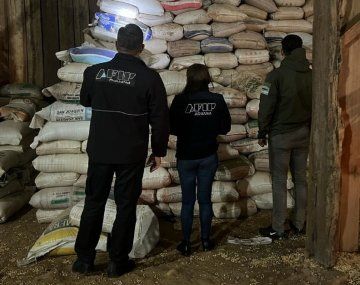 Contrabando: AFIP incautó casi 400 toneladas de soja no declarada en Misiones