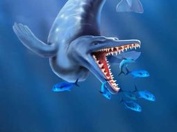 Ballena