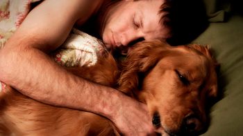 aseguran que se duerme mejor con perros o gatos en la cama aseguran que se duerme mejor con perros o gatos en la cama