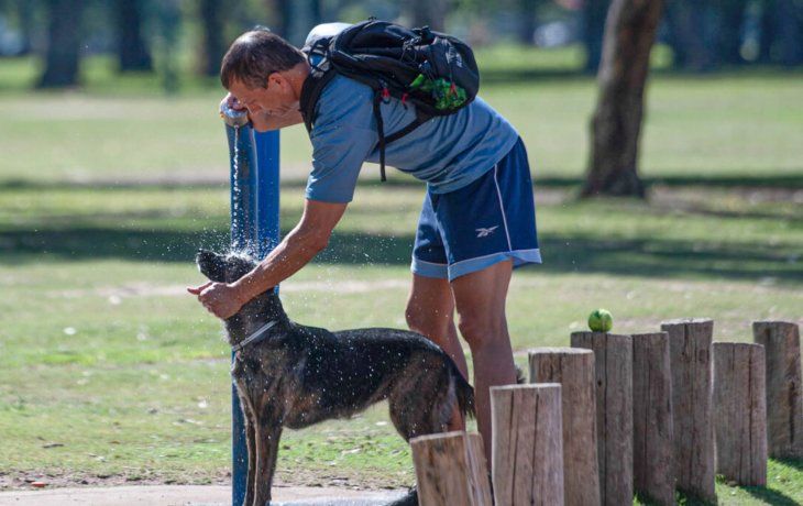 Clima en Buenos Aires: el pronóstico del tiempo para el viernes 22 de noviembre