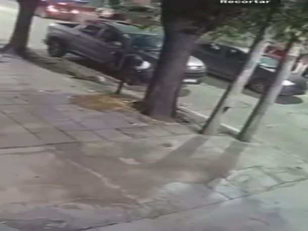 Un auto atropelló y escapó