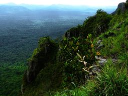 Este destino de Brasil es uno de los más atrapantes por su naturaleza vibrante. 