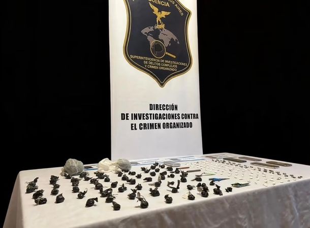 Los operativos se realizaron en La Plata, Berisso y Quilmes; localizaron a un presunto proveedor de armas y secuestraron cocaína, marihuana, municiones y $159.000. Los operativos se realizaron en La Plata, Berisso y Quilmes; localizaron a un presunto proveedor de armas y secuestraron cocaína, marihuana, municiones y $159.000.