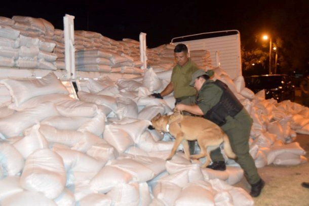 Rosario: descubren más de 420 kilos de cocaína ocultos entre porotos