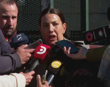 La abogada de Alberto Fernández