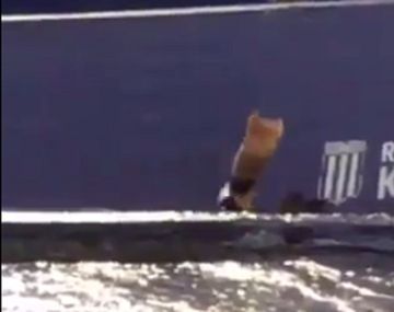 Locura extrema: un hincha festejó el gol de Racing revoleando su pierna