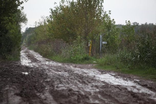 ¿Hay un león suelto en Berazategui?