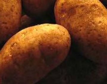 Papas