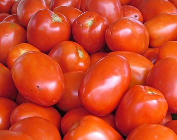 Tomates web