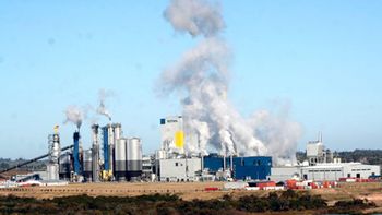 la justicia apuro un informe sobre la contaminacion de botnia la justicia apuro un informe sobre la contaminacion de botnia