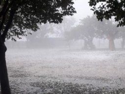 Alerta por lluvias fuertes y granizo en 4 provincias este sábado: detalles y precauciones