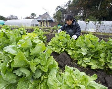 Japonalimentos_efe