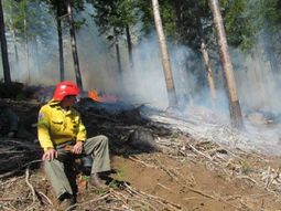 Incendio forestal en Los Repollos - Crédito: Río Negro