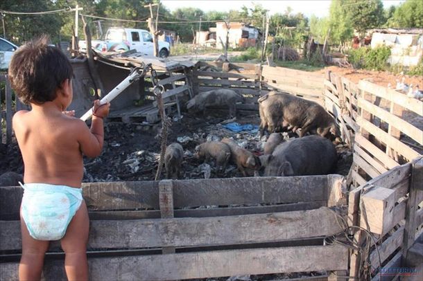 Más de 1,5 millones de chicos pasan hambre en Argentina