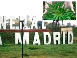General La Madrid, el pueblo donde todos quieren cultivar marihuana