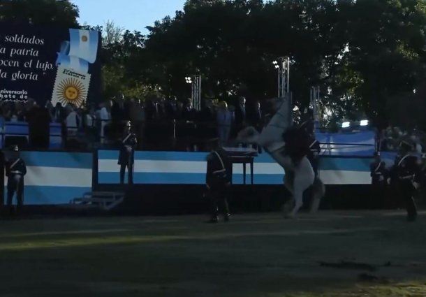 Video: el accidente de un granadero a caballo ante la mirada de Javier Milei