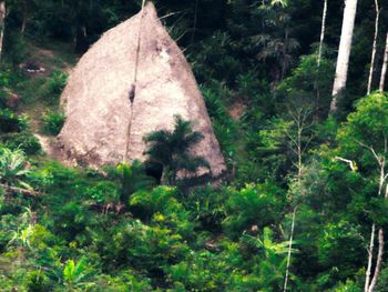 Encontraron pruebas de que existe una tribu indígena aislada del mundo en el Amazonas