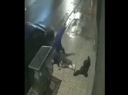 Tandil: el vídeo de la salvaje golpiza por un me gusta