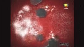 rincon y farro protagonizaron una violenta pelea en tv rincon y farro protagonizaron una violenta pelea en tv