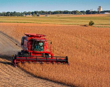 Cerealeras liquidaron más de US$14.415 millones en lo que va de julio