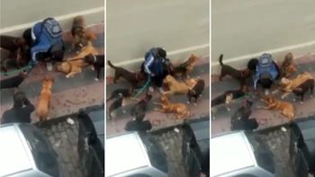 escrachan a un paseador de perros que maltrata a los animales escrachan a un paseador de perros que maltrata a los animales