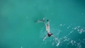 Se salvó de un ataque de tiburón Se salvó de un ataque de tiburón