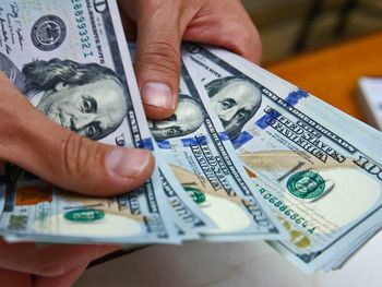 El dólar subió 31 centavos y cerró a 45,86 pesos