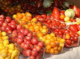 Tomate2