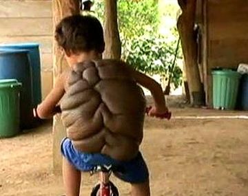 Niñotortuga 2
