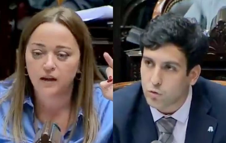 La corrección de Cecilia Moreau a un diputado libertario que se volvió viral La corrección de Cecilia Moreau a un diputado libertario que se volvió viral