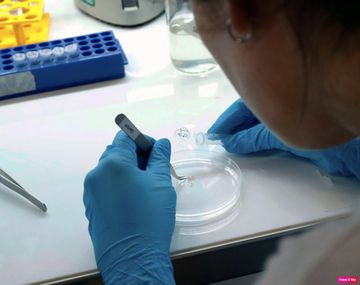 El primer niño con coronavirus de Argentina: uno de los últimos casos confirmados