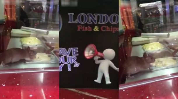 Clausuran un restaurante por el video de una rata comiendo del buffet