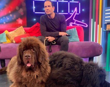 El triste momento que atraviesa Diego Ramos: su desgarrador mensaje