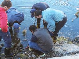 El lugar donde hallaron el arma. Gentileza: agencia Allen El lugar donde hallaron el arma. Gentileza: agencia Allen