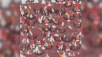 ¿A dónde está el pajarito? ¿A dónde está el pajarito?