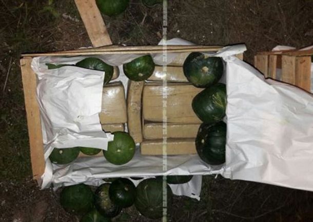 Hallan droga en cajas de Zapallitos. Foto de Gendarmería Nacional